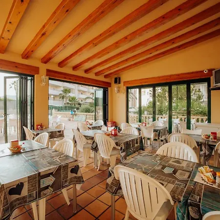 Palm Court Apartmán Benidorm