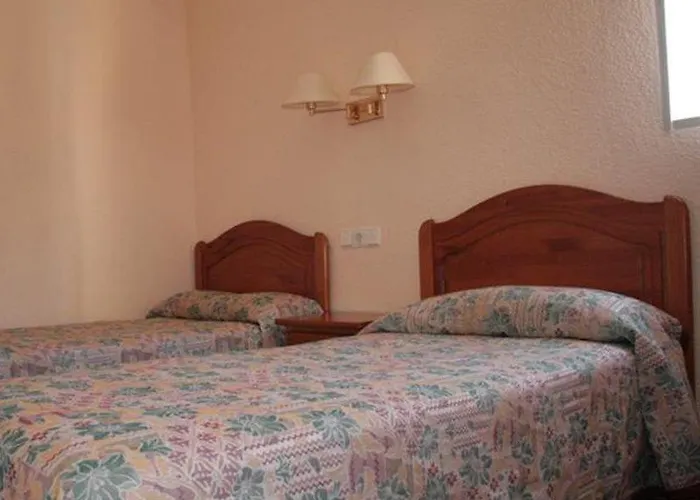 Palm Court Apartament