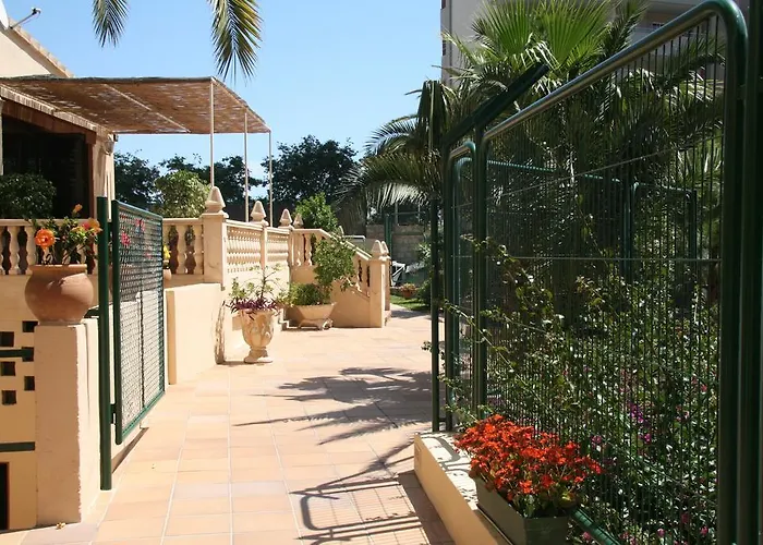 Palm Court Apartament