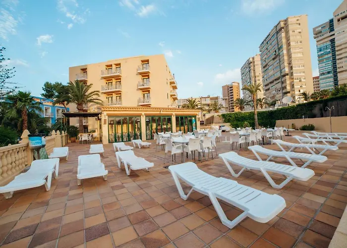 Palm Court Apartament