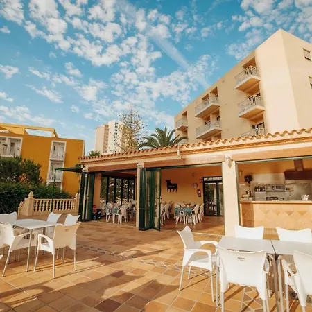 Apartamento Palm Court Benidorm